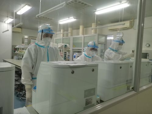 探訪 鄭州市核酸檢測結(jié)果如何準(zhǔn)確快速出爐