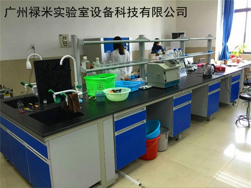 網絡科技 數字時代的引擎與未來